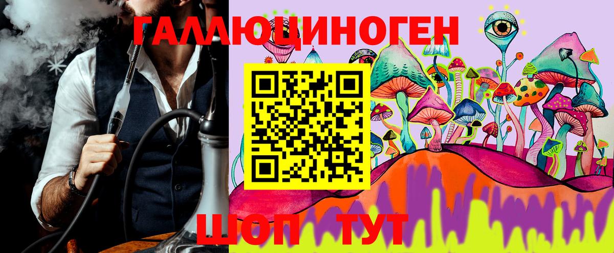 Псилоцибиновые грибы GOLDEN TEACHER Азов