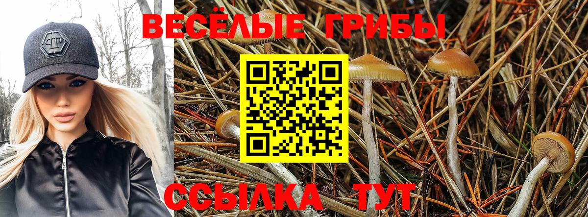 Азов  Галлюциногенные грибы Magic Shrooms  Вход с VPN 